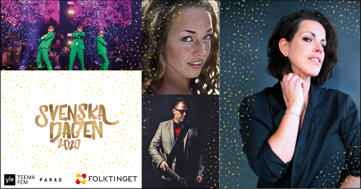 Bild på artister på svenskadagenfesten